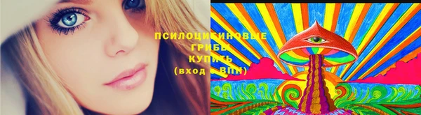 стафф Майский