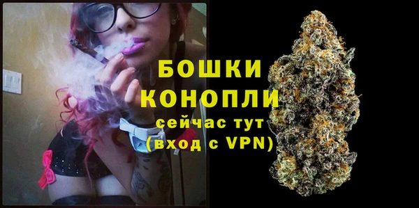 стафф Майский