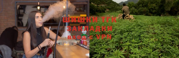 стафф Майский