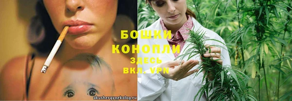 стафф Майский