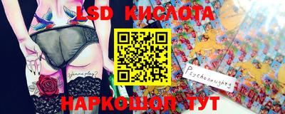 гидра Заводоуковск