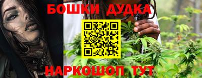 гидра Заводоуковск