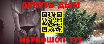 гидра Заводоуковск