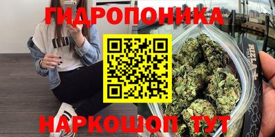 гидра Заводоуковск