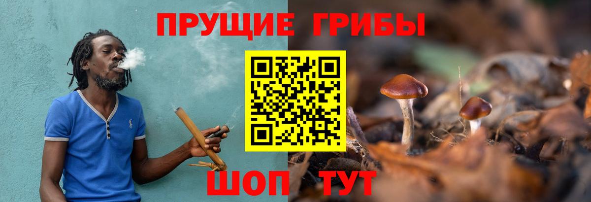 Псилоцибиновые грибы Magic Shrooms Тихорецк